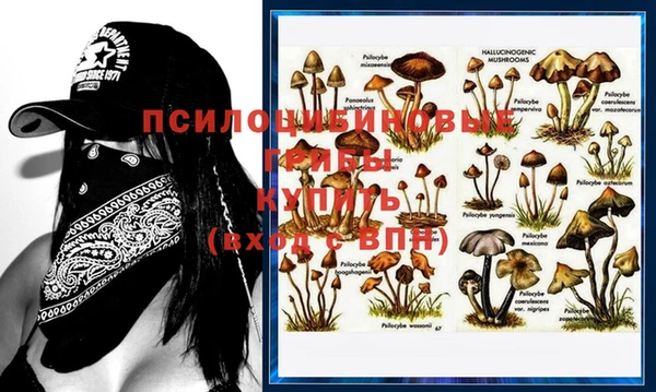 apvp Горно-Алтайск