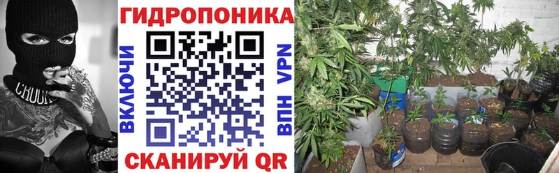 KRAKEN ссылки  Невель  Шишки марихуана THC 21% 